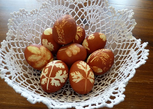 eggs dyed with yellow onion skins.JPG