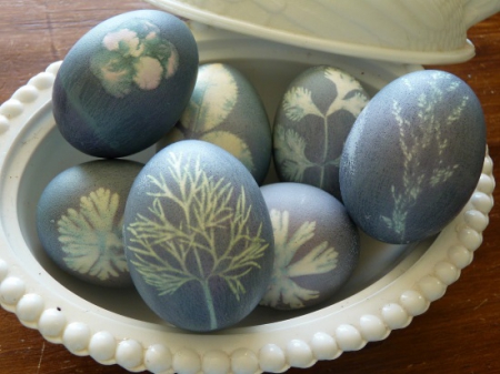 eggs dyed with red purple cabbage.JPG