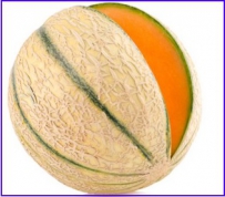 melon-charentais-troubadour.jpg